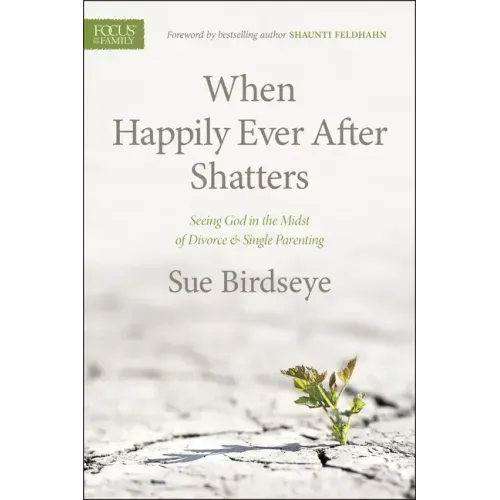 When Happily Ever After Shatters: Seeing God in the Midst of Divorce & Single Parenting