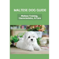 Maltese Dog Guide: Maltese Training, Characteristics, & Care: Alpha Dog For Maltese Dog