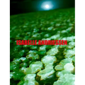 Isabelle Andriessen: Dorm