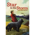 Star in the Storm