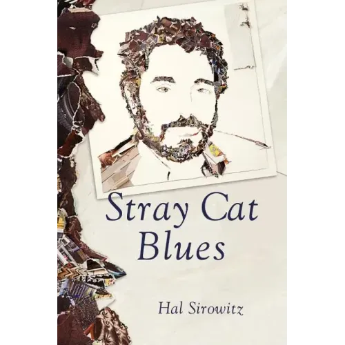 Stray Cat Blues