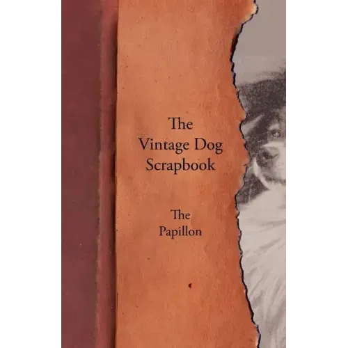 The Vintage Dog Scrapbook - The Papillon