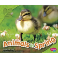 Animals in Spring