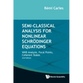 Semi-Classical Analysis for Nonlinear Schrödinger Equations: WKB Analysis, Focal Points, Coherent States (Second Edition)