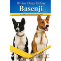 Basenji
