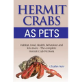 Hermit Crab Care
