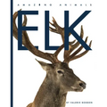 Elk