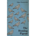 The Homing Pigeon