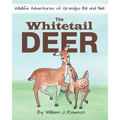 The Whitetail Deer