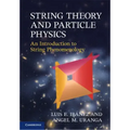 String Theory and Particle Physics