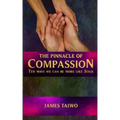 The Pinnacle of Compassion: Ten Ways We Can Be More Like Jesus