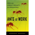 Ants at Work: How an Insect Society Is Organized