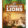 A Pride of Lions