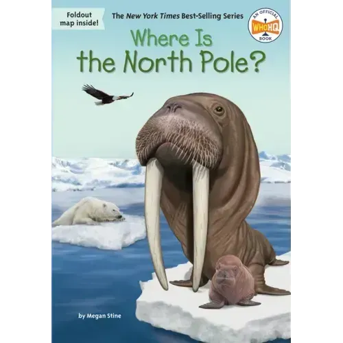 Where Is the North Pole?