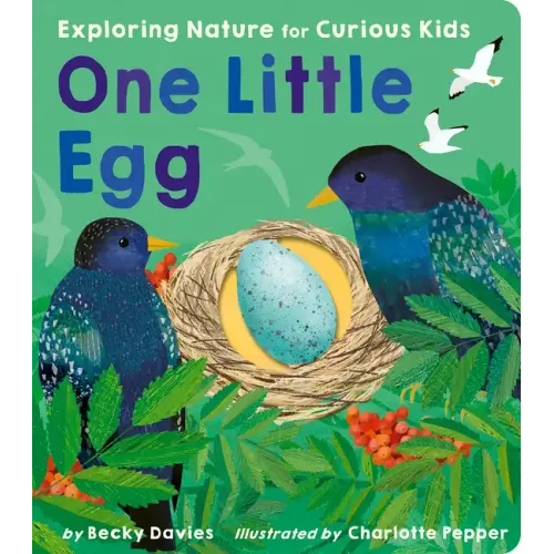 One Little Egg: Exploring Nature for Curious Kids
