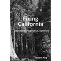Fixing California: Abundance, Pragmatism, Optimism