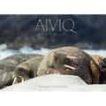 Aiviq: Life with Walruses