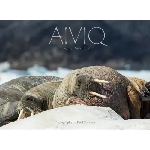 Aiviq: Life with Walruses