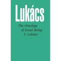 Ontology of Social Being Vol. 3: Labour