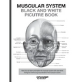 Muscular System Black and White Picture Book: Guide For The Muscular System