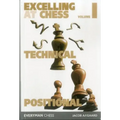 Excelling at Chess Volume 1. Technical and Positional