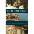 Rabies in the Streets: Interspecies Camaraderie in Urban India