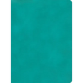 CSB Apologetics Study Bible, Teal Leathertouch
