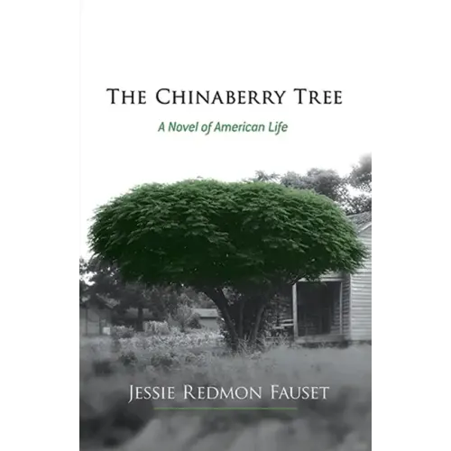 The Chinaberry Tree: A Novel of American Life