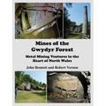 Mines of the Gwydyr Forest: Metal Mining Ventures in the Heart of North Wales