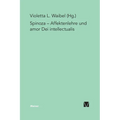 Affektenlehre und amor Dei intellectualis: Die Rezeption Spinozas im Deutschen Idealismus, in der Frühromantik und in der Gegenwart