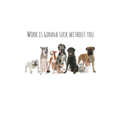 Work is gonna suck without you.: Perfect goodbye gift for coworker that is leaving / going away gift for your co worker, boss, manager, employee.