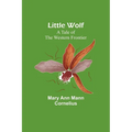 Little Wolf: A Tale of the Western Frontier