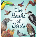 The Beaks of Birds