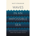 Waves in an Impossible Sea: How Everyday Life Emerges from the Cosmic Ocean