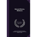 Natural History, Mollusca