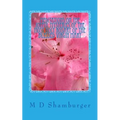 Meditations on the Joyful Mysteries of the Most Holy Rosary