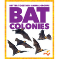 Bat Colonies