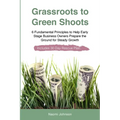 Grassroots to Green Shoots: 6 Fundamental Principles to Help Early Stage Business Owners Prepare the Ground for Steady Growth