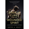 Biblical Cures For The Wounded Spirit: Answers for PTSD and Healing the Invisible Wound