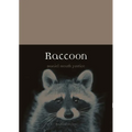 Raccoon