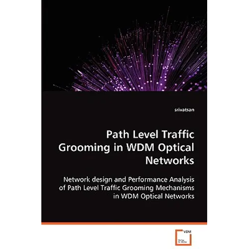 Path Level Traffic Grooming in WDM Optical Networks