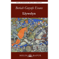 Llywelyn