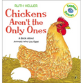 Chickens Aren't the Only Ones: A Book about Animals Who Lay Eggs