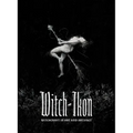 Witch-Ikon: Witchcraft in Art and Artifact