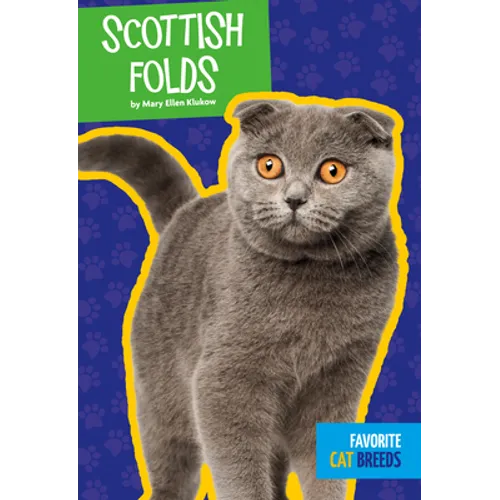 Scottish Folds