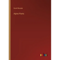 Alpine Plants