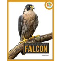 Falcon