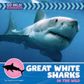 Great White Sharks in the Wild