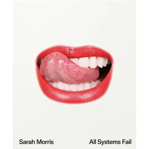 Sarah Morris: All Systems Fail