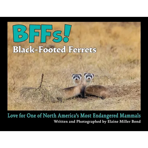 BFFs! Black-Footed Ferrets (Paperback): Love for One of North America's Most Endangered Mammals
